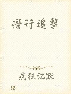 潜行追击