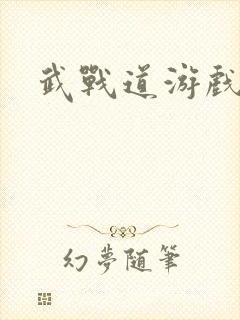 武战道游戏封面