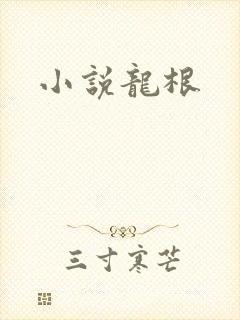 小说龙根