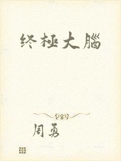 终极大脑