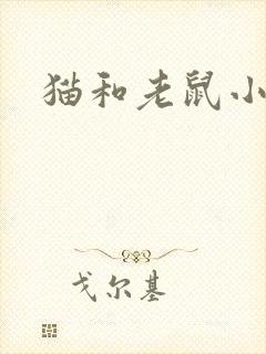 猫和老鼠小说
