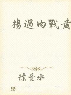 杨过肉战黄蓉