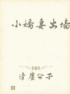 小娇妻出墙记