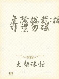 危险总裁:总裁非礼勿碰封面