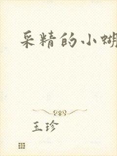 采精的小蝴蝶