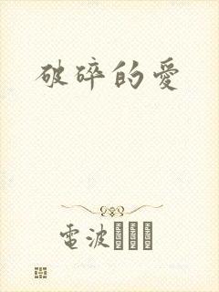 破碎的爱封面