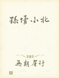 孙倩小北封面