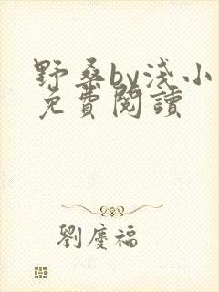 野桑by浅小说免费阅读