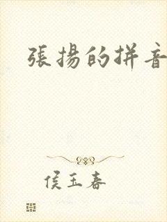 张扬的拼音封面