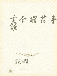 完全摧花手册小说