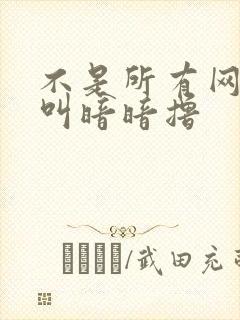 不是所有网站都叫暗暗撸