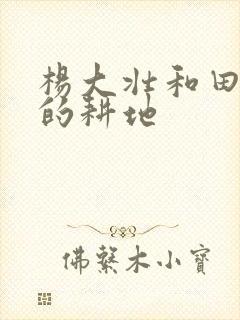 杨大壮和田桂花的耕地