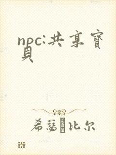 npc:共享宝贝封面