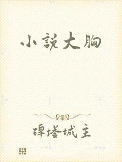 小说大胸封面