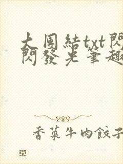 大团结txt闪闪发光笔趣阁