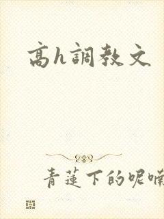 高h调教文