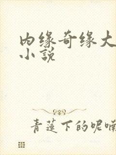 内缘奇缘大团圆小说