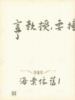 言教授,要撞坏了