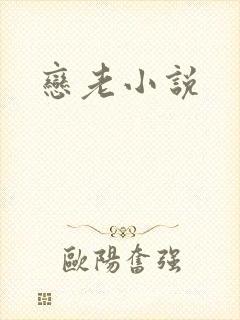 恋老小说