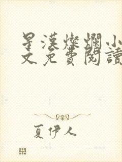 星汉灿烂小说全文免费阅读封面