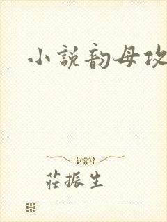 小说韵母攻略封面