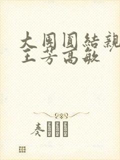 大团圆结亲情会王芳高敏封面