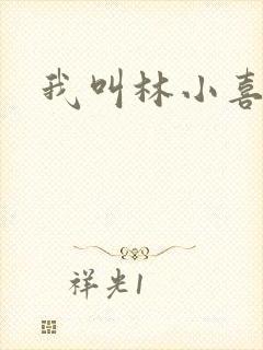 我叫林小喜17