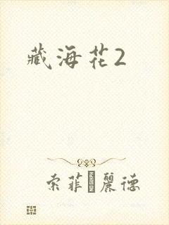 藏海花2