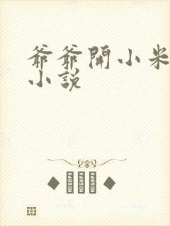 爷爷开小米的包小说