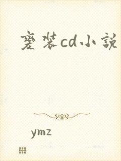 变装cd小说封面
