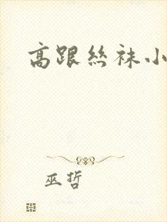 高跟丝袜小说