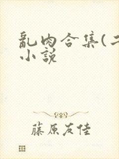 乱肉合集(二)小说