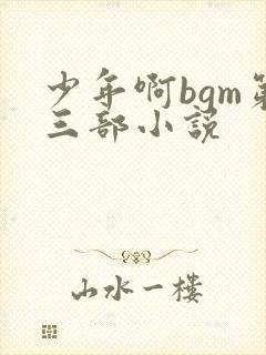 少年啊bgm第三部小说