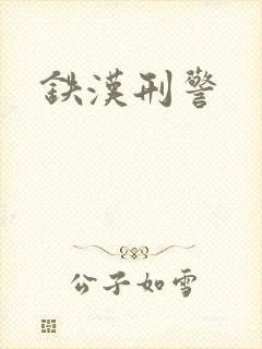 铁汉刑警封面