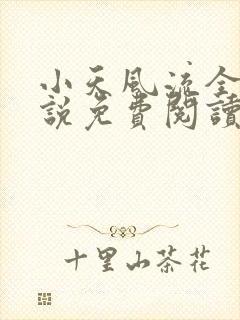 小天风流全集小说免费阅读封面