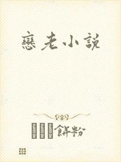 恋老小说