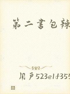 第二书包辣文