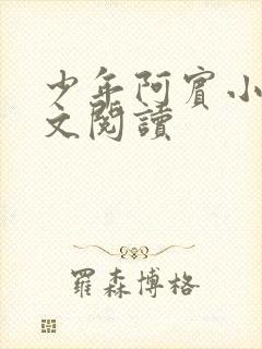 少年阿宾小说全文阅读