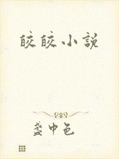 皎皎小说封面