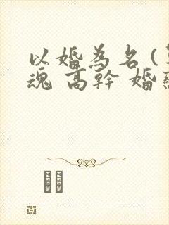 以婚为名 (军魂 高干 婚恋)