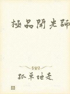 极品开光师