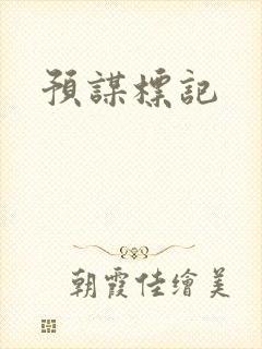 预谋标记封面