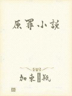 原罪小说封面