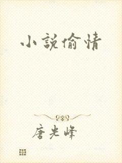 小说偷情封面