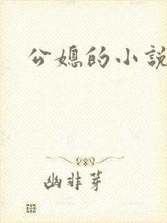 公媳的小说