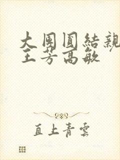 大团圆结亲情会王芳高敏封面