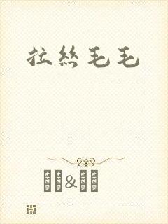 拉丝毛毛