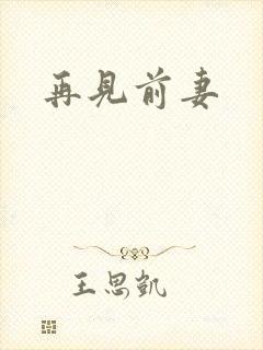 再见前妻封面