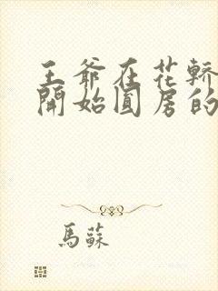 王爷在花轿里就开始圆房的小说封面