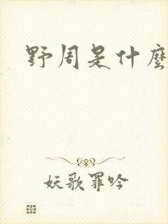 野周是什么意思封面